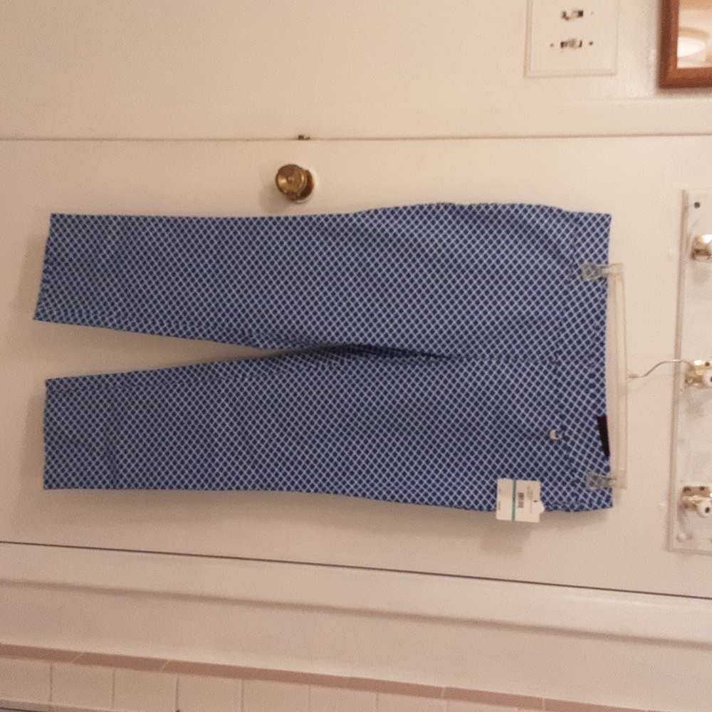 Ankle length  pants